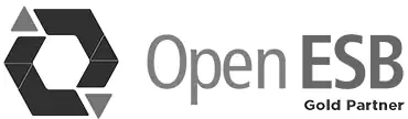 Logo Software Open ESB - Vico Academy